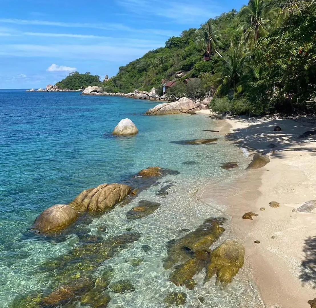***  P.D. Beach Resort Ko Tao Tailandia